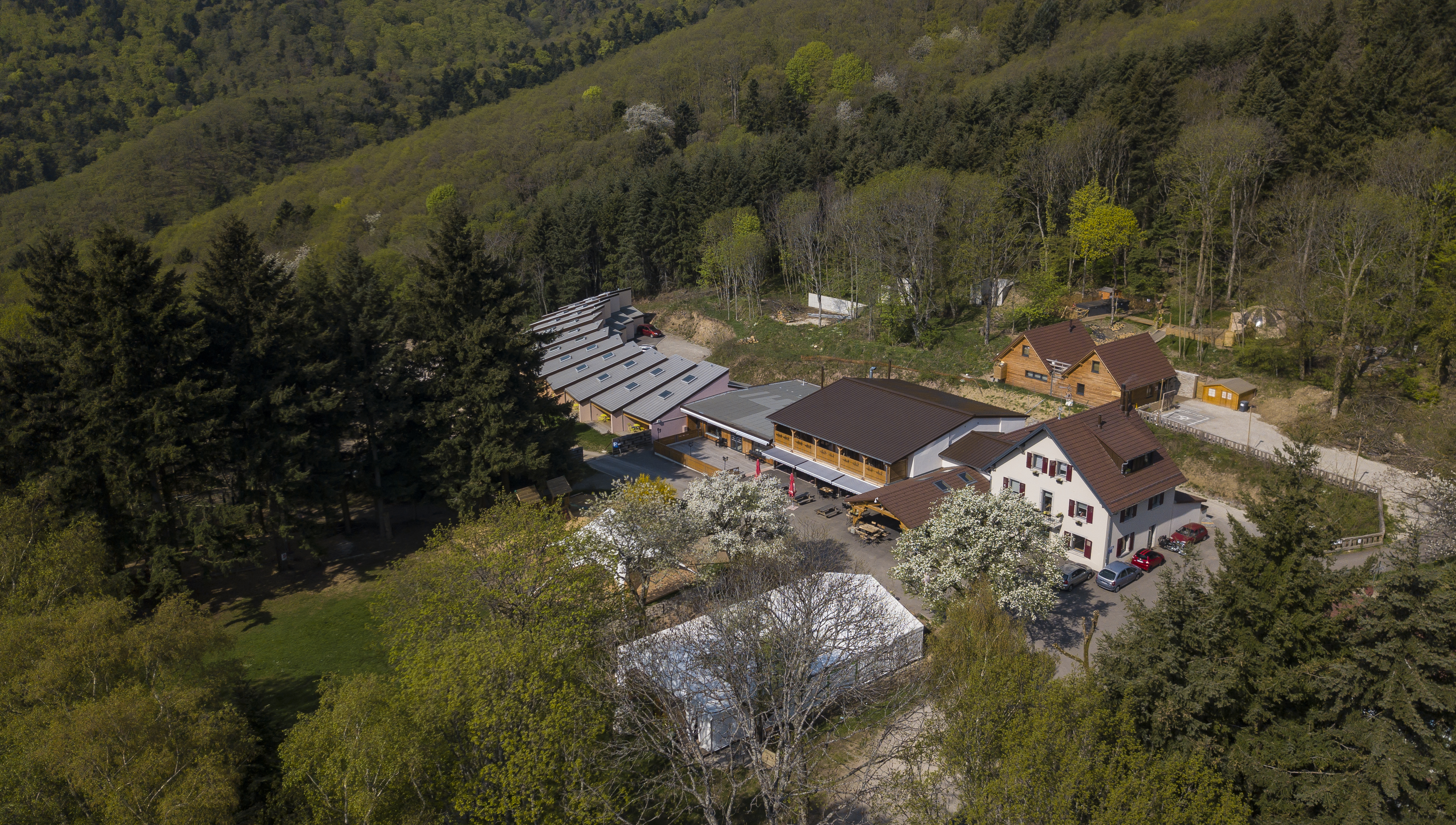 Domaine du Hirtz drone